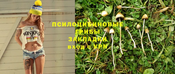 ГАЛЛЮЦИНОГЕННЫЕ ГРИБЫ Бородино