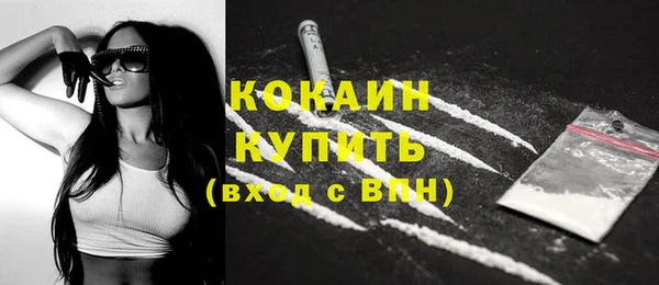 ГАЛЛЮЦИНОГЕННЫЕ ГРИБЫ Бородино