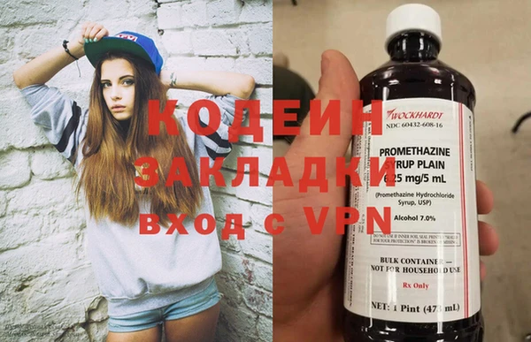 ГАЛЛЮЦИНОГЕННЫЕ ГРИБЫ Бородино