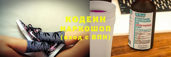 ГАЛЛЮЦИНОГЕННЫЕ ГРИБЫ Бородино