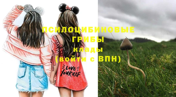 гашик Бугульма