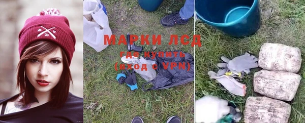 ГАЛЛЮЦИНОГЕННЫЕ ГРИБЫ Бородино