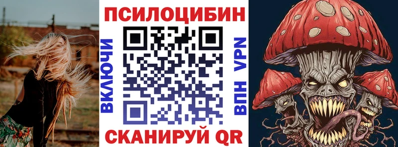 Галлюциногенные грибы Magic Shrooms  что такое   Высоцк 